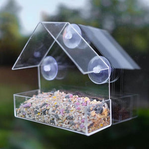 Little House Clear Bird Feeder