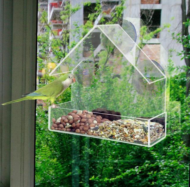 Little House Clear Bird Feeder