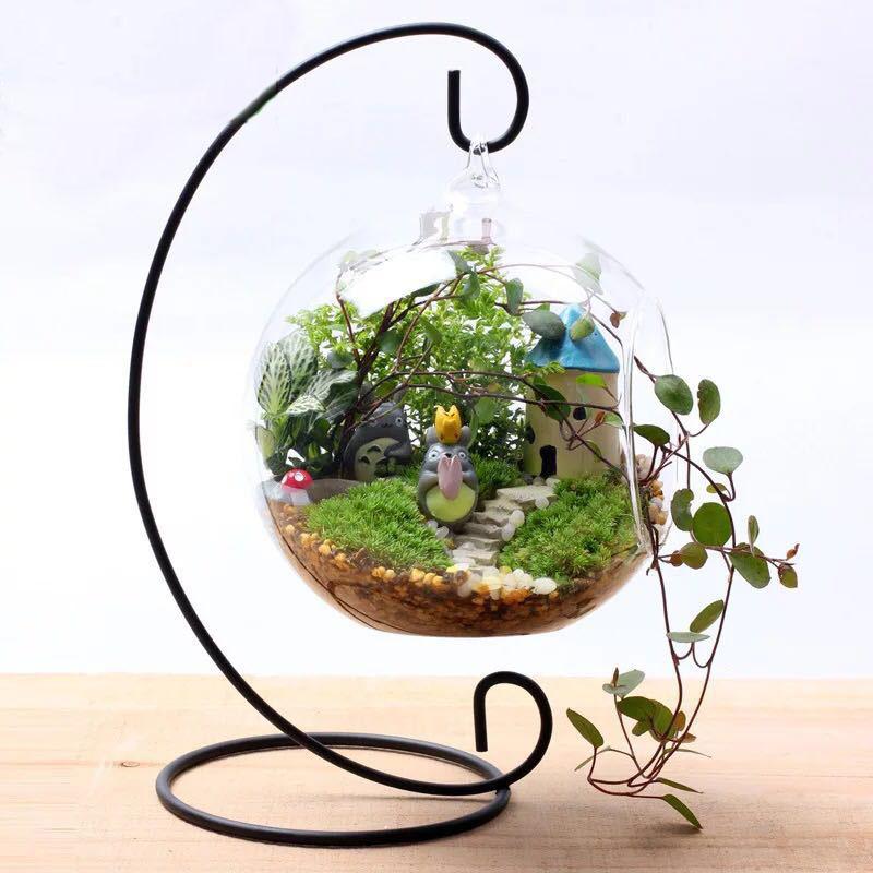 Teardrop Glass Terrarium