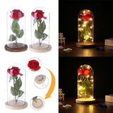 Enchanted Rose Flower Lamp