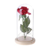 Enchanted Rose Flower Lamp